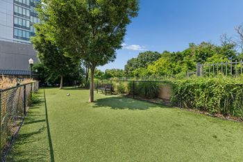 Onsite pet park at 15 bank apartments in white plains, ny 10606